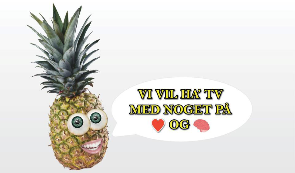 Intro til Ananassens Medielaboratorium