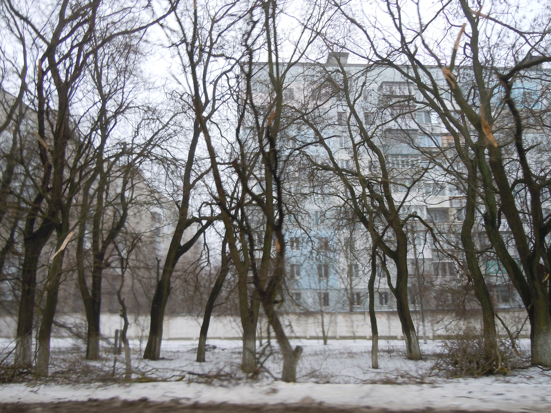 Foto: Yuriy Kvach, CC BY-SA 3.0, commons.wikimedia.org