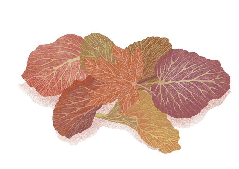 Illustration: Carla Kjellman Nørremark