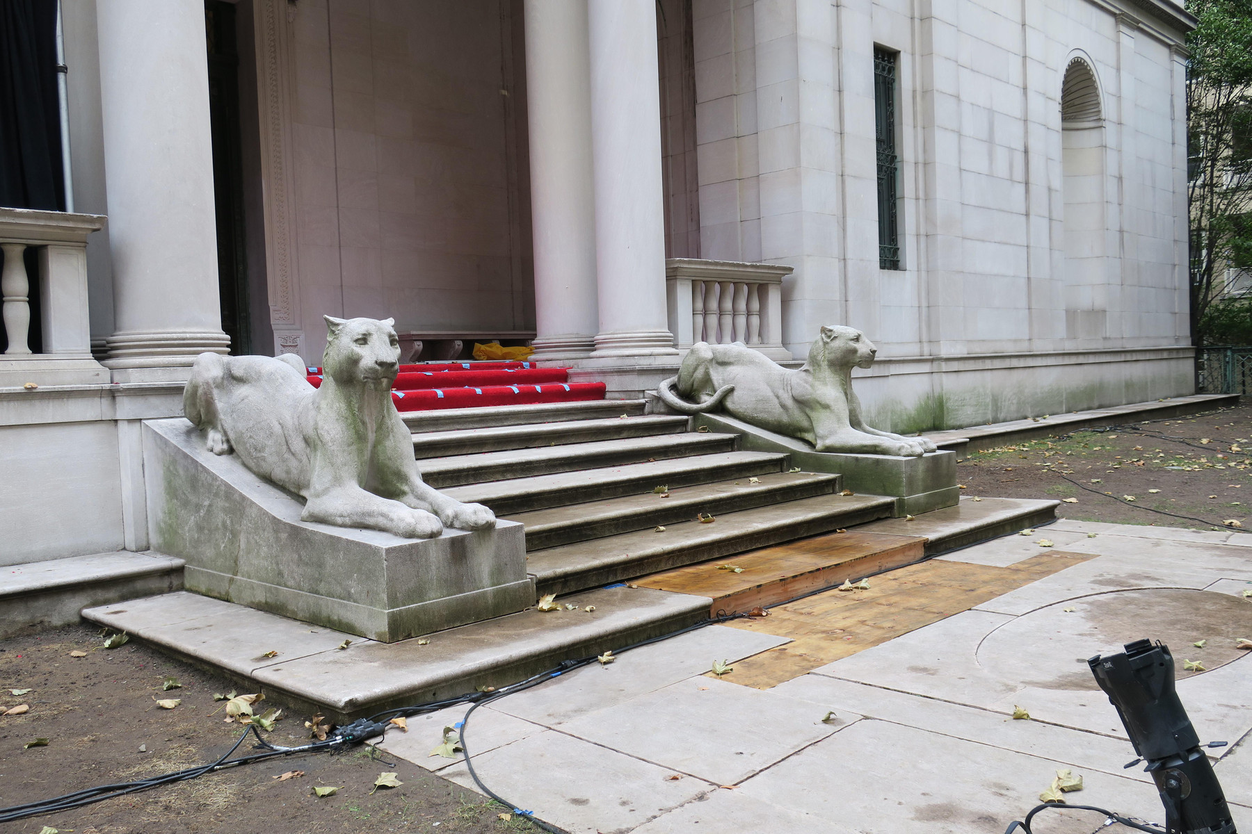 To løver vogter et af NYPL biblioteker under konstruktion, New York 2017. Foto: Anna Stahn