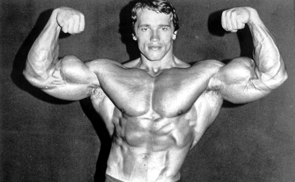 »Fedt fedt fedt«, siger ministeren. Arnold Schwarzenegger i 1974. Foto: Wikimedia Commons.