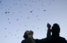 Upstream Color er kringlet, forvirrende og fængslende