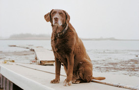 Moxie, 13 år, Winthrop, Massachusetts. Se udvidet billedtekst i bunden af artiklen. Foto: Charlotte Dumas